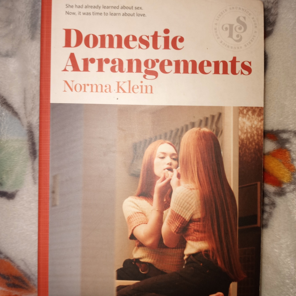 ⭐️2 for $10⭐️Domestic Arrangements by Norma Klein Paperback- Red and White Cover